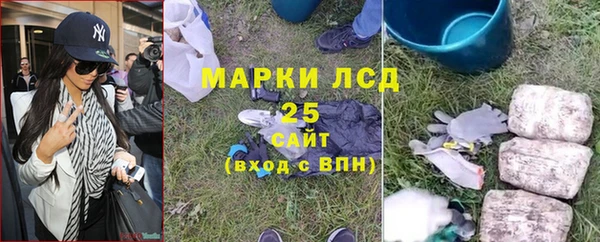 стаф Надым